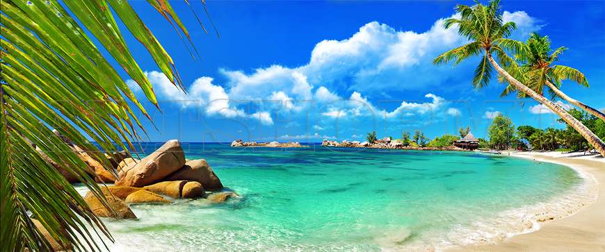 Wall mural - Turquoise sea and palm trees