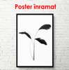 Постер - Черное белое изображение растенья, 30 x 60 см, Холст на подрамнике, Черно Белые