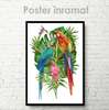 Постер, Грациозные папугаи, 30 x 45 см, Холст на подрамнике, Животные