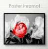 Poster - Red peony on white background, 45 x 30 см, Canvas on frame, Flowers