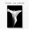 Постер - Белая лилия на черном фоне, 30 x 45 см, Холст на подрамнике
