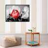 Poster - Red peony on white background, 45 x 30 см, Canvas on frame, Flowers