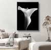Poster - White lily on a black background, 60 x 90 см, Framed poster on glass, Flowers