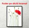 Poster - Red poppy on a white background, 60 x 90 см, Framed poster on glass, Minimalism