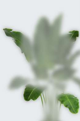Poster - Frunze verzi în ceață, 30 x 45 см, Panza pe cadru, Botanică