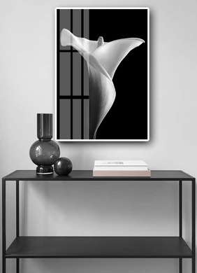 Постер - Белая лилия на черном фоне, 60 x 90 см, Постер на Стекле в раме, Цветы