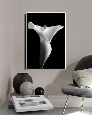 Poster - White lily on a black background, 30 x 45 см, Canvas on frame