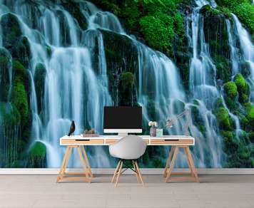 Wall Mural - Waterfall