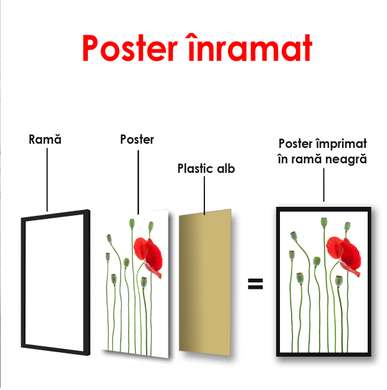 Постер - Красный мак на белом фоне, 60 x 90 см, Постер в раме, Минимализм