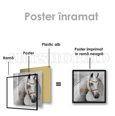 Poster, White horse, 40 x 40 см, Canvas on frame, Animals