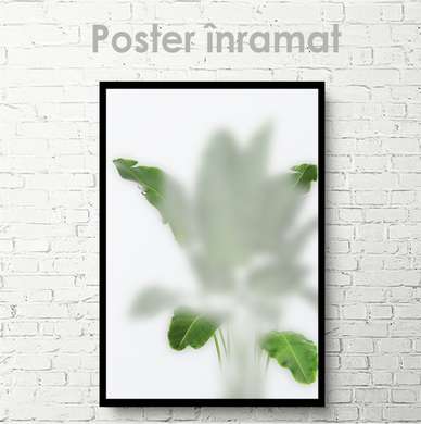 Poster - Frunze verzi în ceață, 30 x 45 см, Panza pe cadru, Botanică