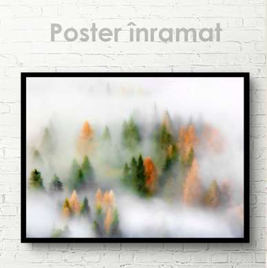 Poster - Pădure cețoasă cu brazi, 45 x 30 см, Panza pe cadru, Natură