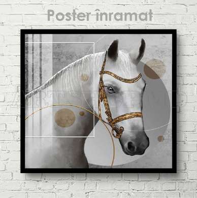 Poster, White horse, 40 x 40 см, Canvas on frame, Animals