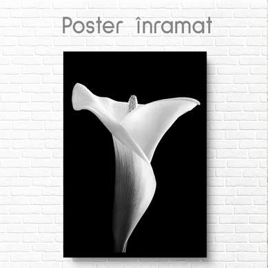 Poster - Crin alb pe fundal negru, 30 x 45 см, Panza pe cadru