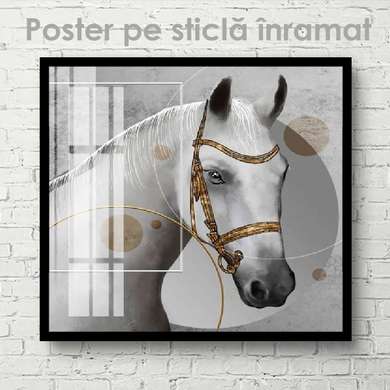 Poster, Cal alb, 40 x 40 см, Panza pe cadru, Animale