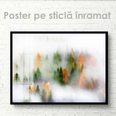 Poster - Foggy forest with fir trees, 45 x 30 см, Canvas on frame