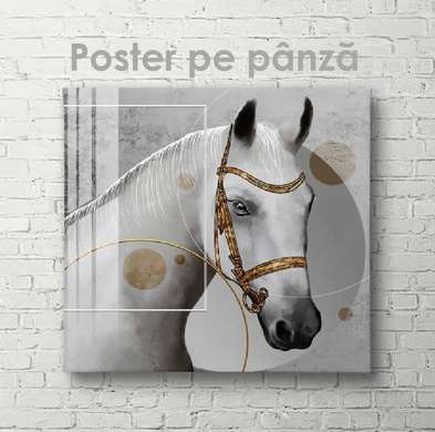 Постер, Белая лошадь, 40 x 40 см, Холст на подрамнике, Животные