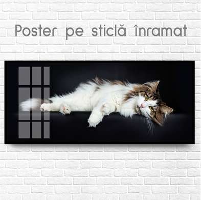 Постер, Белая кошка, 90 x 45 см, Постер на Стекле в раме, Животные