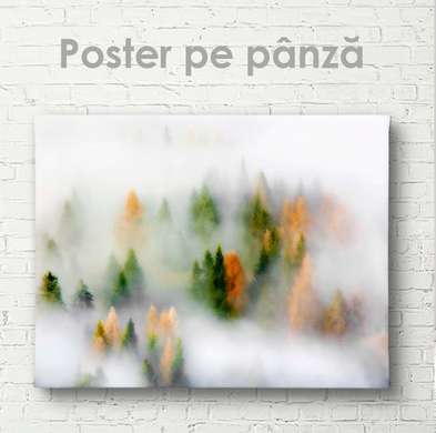 Poster - Pădure cețoasă cu brazi, 45 x 30 см, Panza pe cadru, Natură