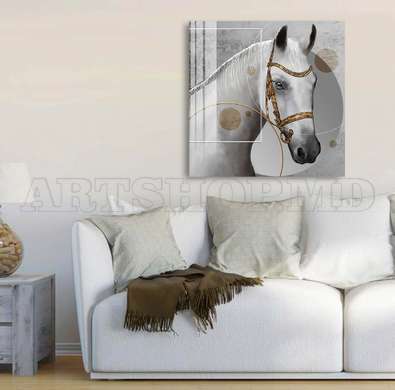 Poster, White horse, 40 x 40 см, Canvas on frame, Animals