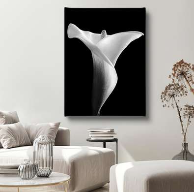 Постер - Белая лилия на черном фоне, 30 x 45 см, Холст на подрамнике