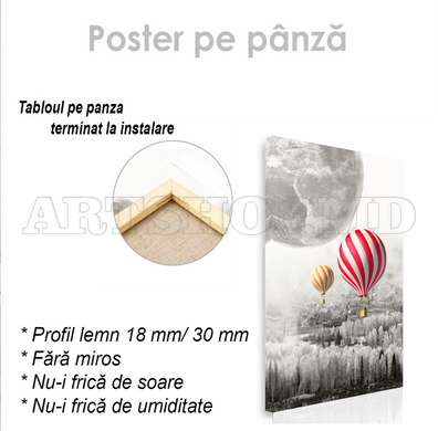 Poster - Balonul cu aer, 30 x 45 см, Panza pe cadru, Diverse