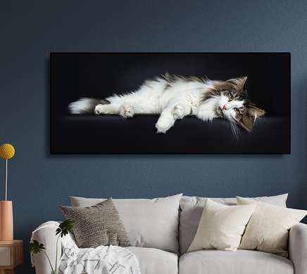 Постер, Белая кошка, 60 x 30 см, Холст на подрамнике