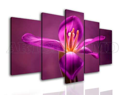 Modular picture, Burgundy iris, 108 х 60