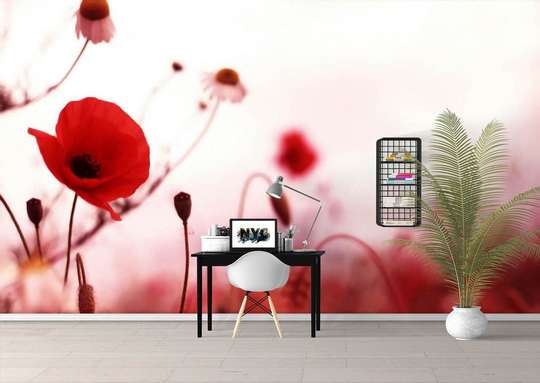Wall Mural - Poppies and daisies