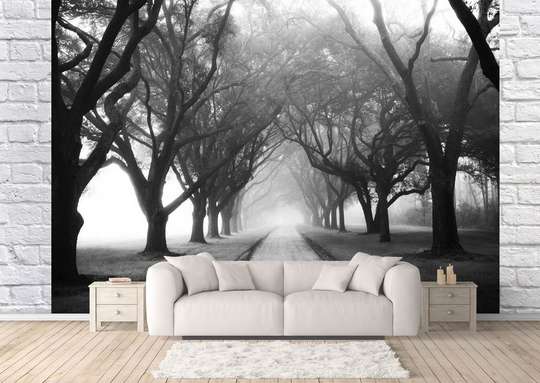 Wall Mural - Enchanted forest