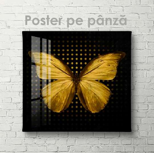 Poster - Золотая бабочка, 40 x 40 см, Panza pe cadru