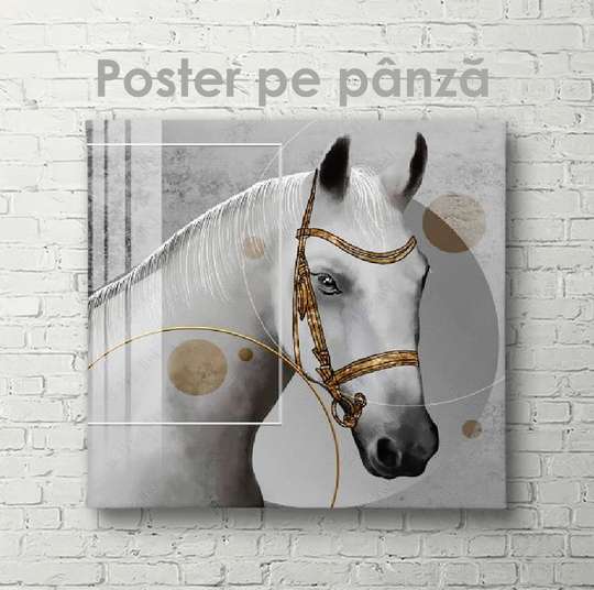 Poster, Cal alb, 40 x 40 см, Panza pe cadru