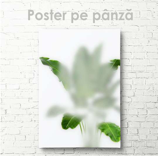 Постер - Зеленые листья в тумане, 30 x 45 см, Холст на подрамнике
