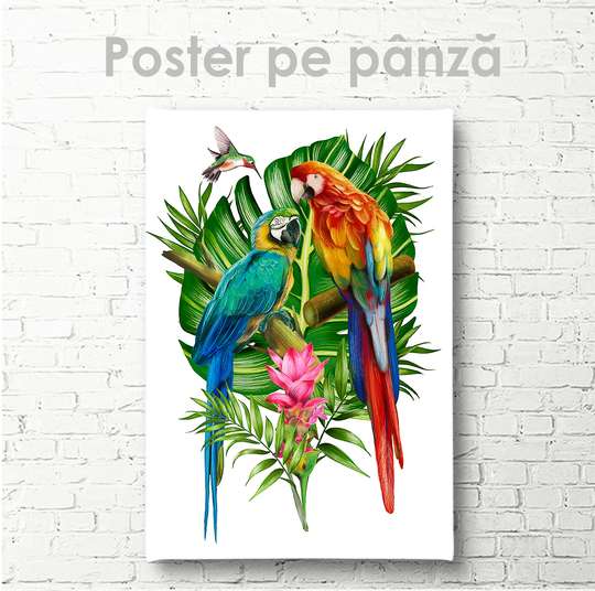 Постер, Грациозные папугаи, 30 x 45 см, Холст на подрамнике, Животные