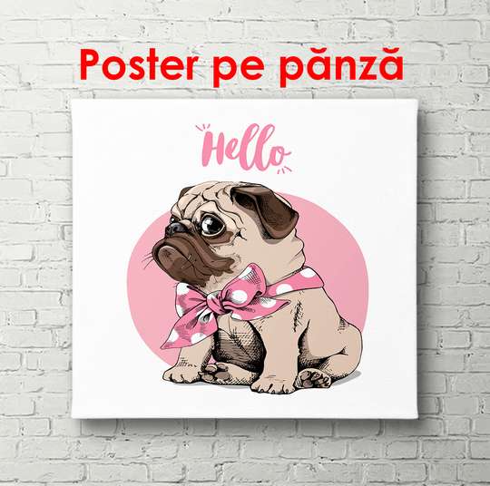 Poster - Câinele Pug pe un fundal roz, 100 x 100 см, Poster înrămat, Pentru Copii
