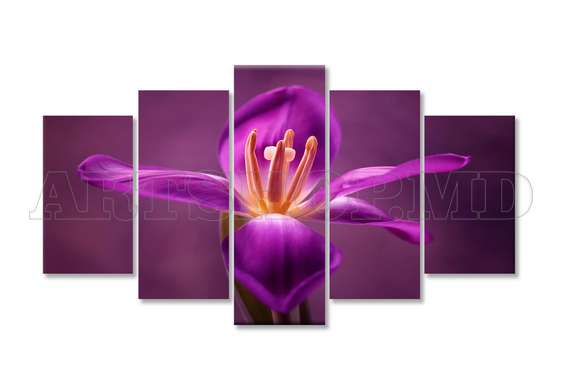 Modular picture, Burgundy iris, 108 х 60