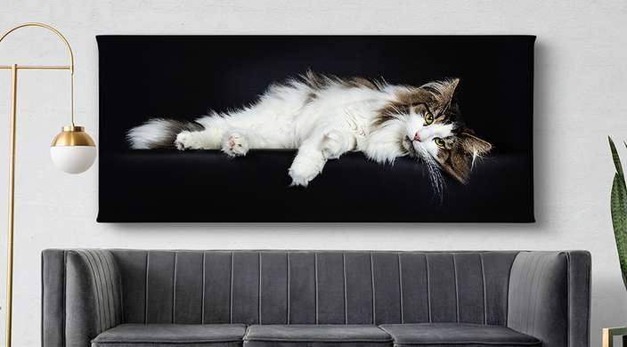 Poster, White cat, 90 x 45 см, Framed poster on glass, Animals