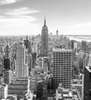 Wall Mural - View of the Empire State Building