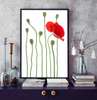 Poster - Red poppy on a white background, 60 x 90 см, Framed poster on glass, Minimalism