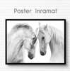 Poster, White horses, 90 x 60 см, Framed poster on glass, Animals