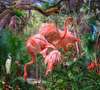 Wall Mural - Flamingos in the jungle