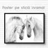 Poster, White horses, 90 x 60 см, Framed poster on glass, Animals