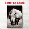 Poster - Rhinoceros, 45 x 90 см, Framed poster on glass, Black & White