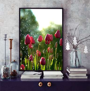 Постер - Тюльпаны, 60 x 90 см, Постер на Стекле в раме, Цветы