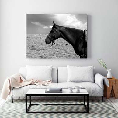 Poster, Horse, 45 x 30 см, Canvas on frame