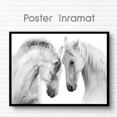 Poster, White horses, 45 x 30 см, Canvas on frame