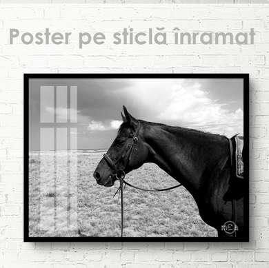 Постер, Лошадь, 45 x 30 см, Холст на подрамнике