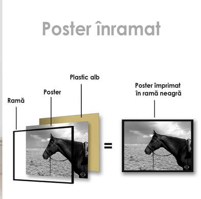 Poster, Calul, 90 x 60 см, Poster inramat pe sticla
