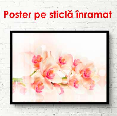 Постер - Нежная орхидея, 90 x 60, Цветы