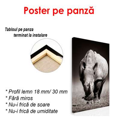 Постер - Носорог, 30 x 60 см, Холст на подрамнике, Черно Белые
